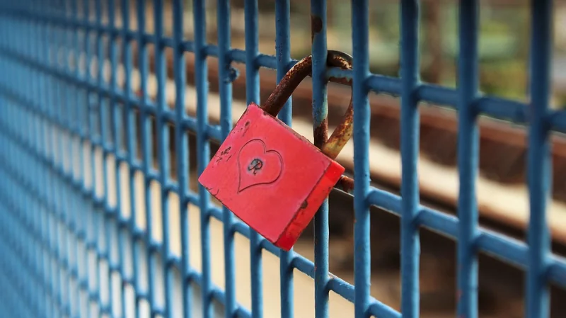 The Emotional Connection Factor