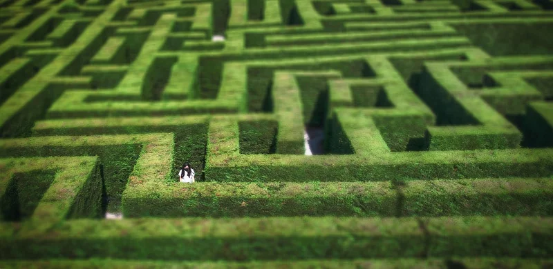 Green Business Strategies That Actually Work